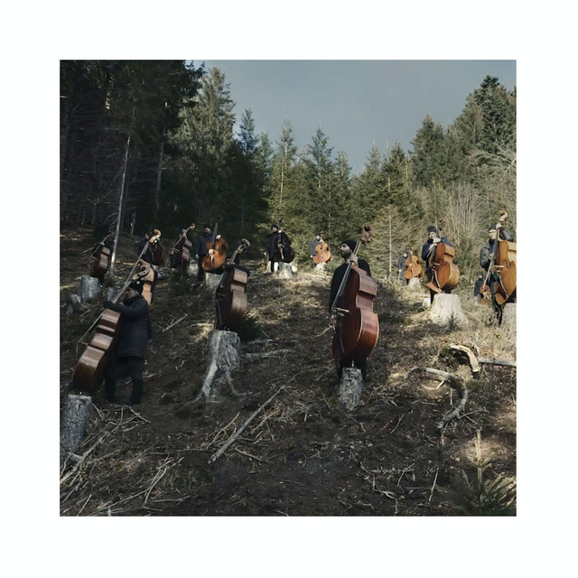 Trees for the Wood cover art