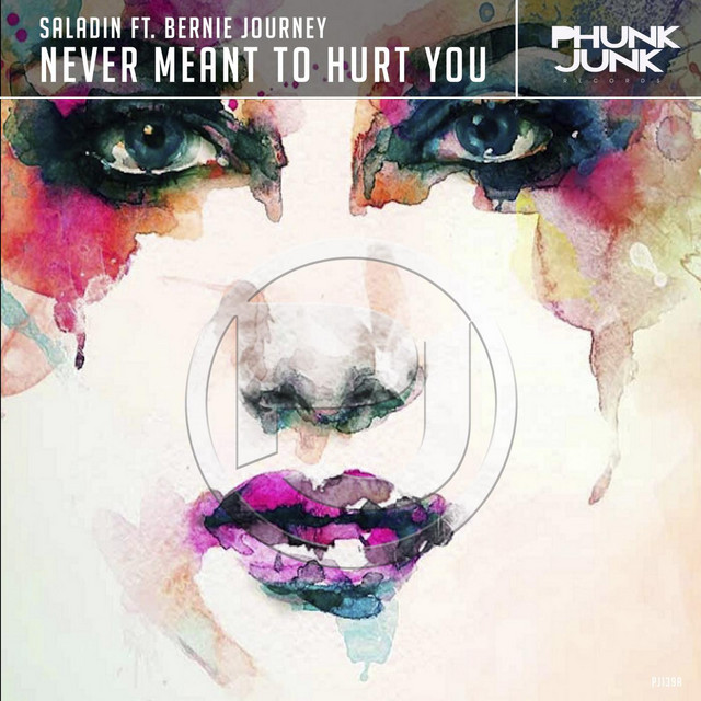 Never Meant To Hurt You ft Bernie Journey cover art