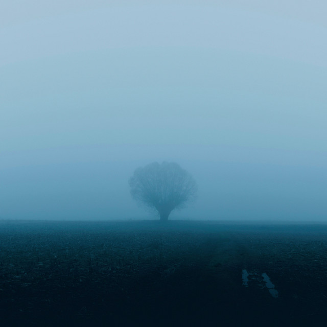 memories cover art