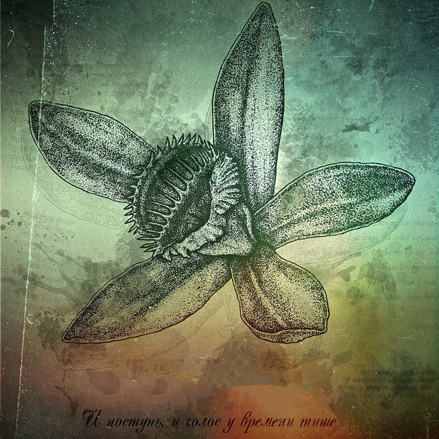 И поступь и голос у времени тише cover art