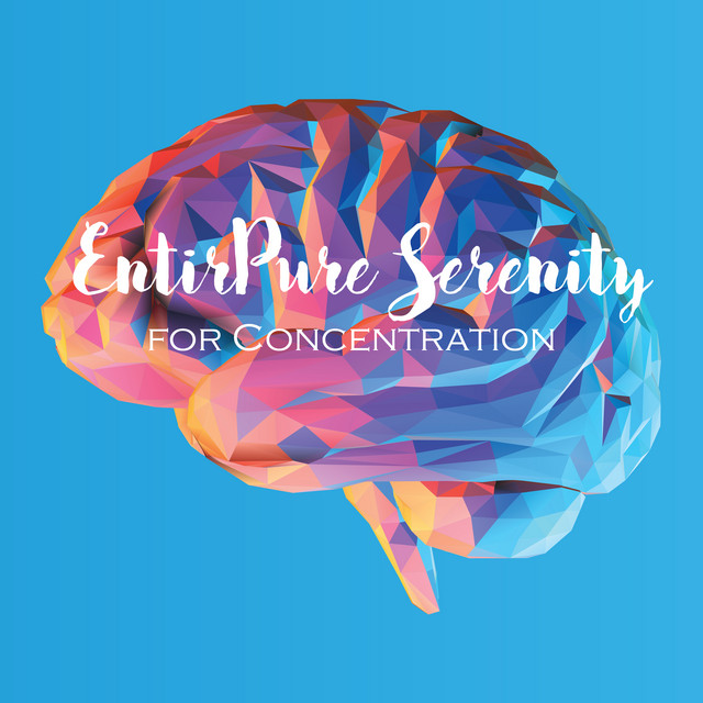 Pure Serenity for Concentration: Study Time, Effective Work, Stress Relief, Contemplation cover art