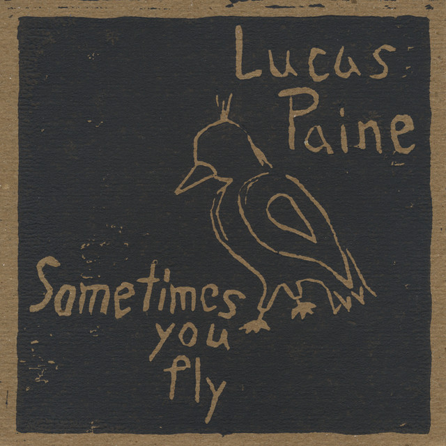 Sometimes You Fly cover art