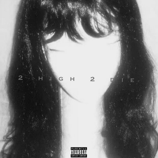 2 high 2 die cover art