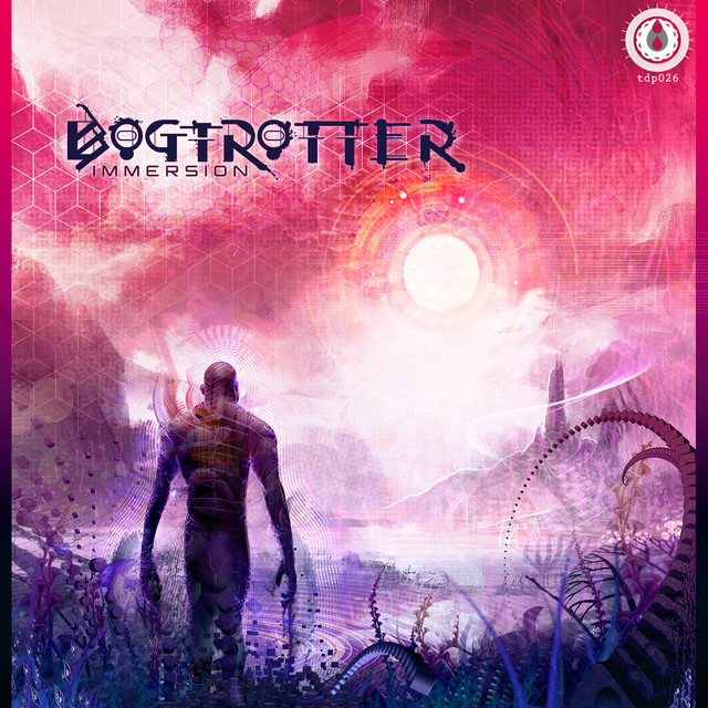 Immersion cover art