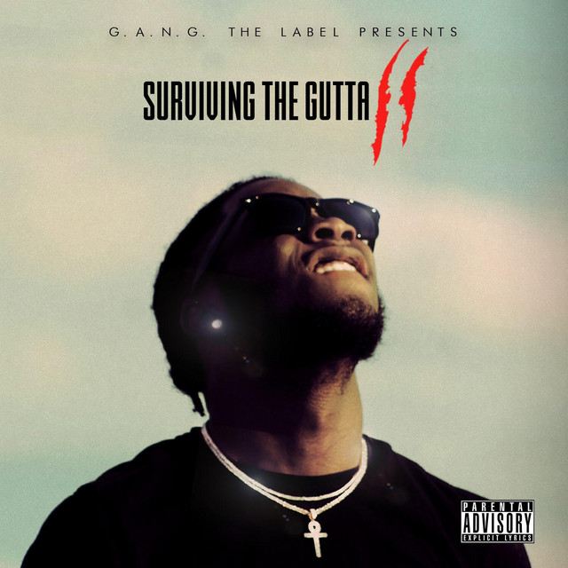 Surviving the Gutta 2 cover art