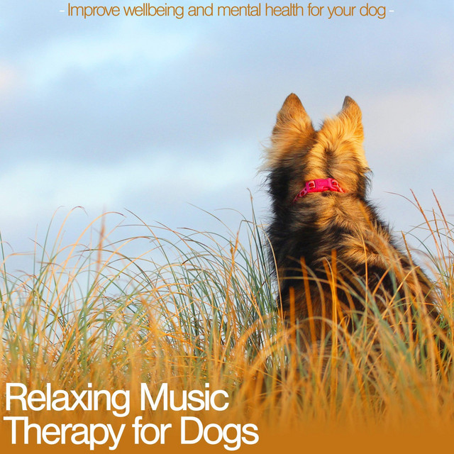 Relaxing Music Therapy for Dogs: Improve Wellbeing and Mental Health for Your Dog cover art