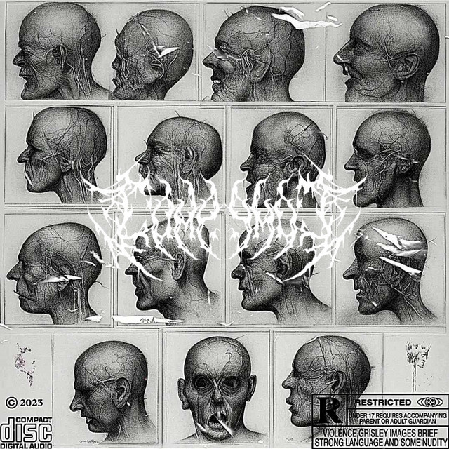 KAKORRHAPHIOPHOBIA cover art