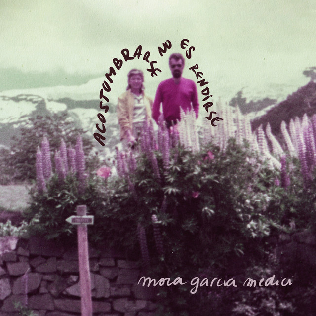 Acostumbrarse no es rendirse cover art