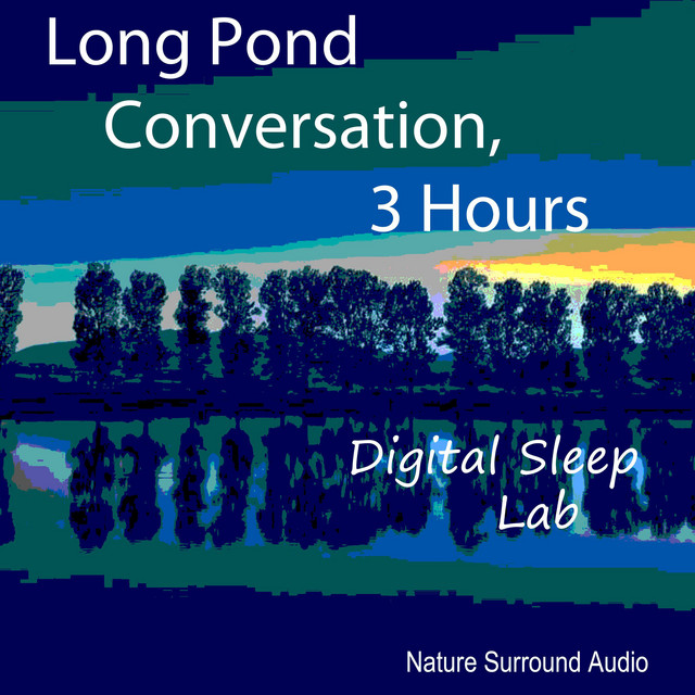 Digital Sleep Lab | Spotify