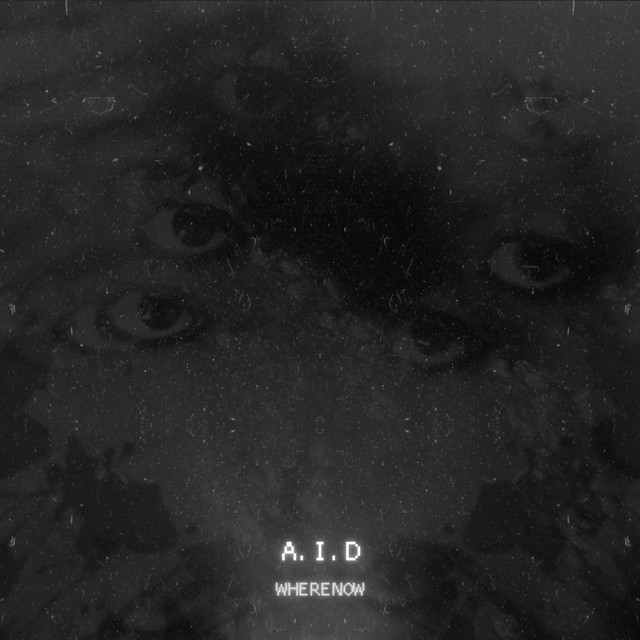 A.I.D cover art