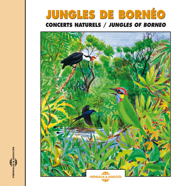 Jungles De Borneo