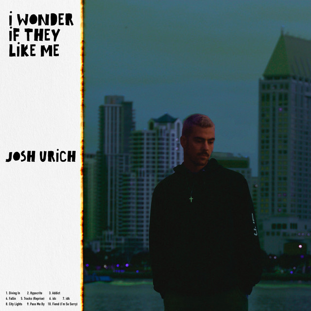 I Wonder If They Like Me cover art
