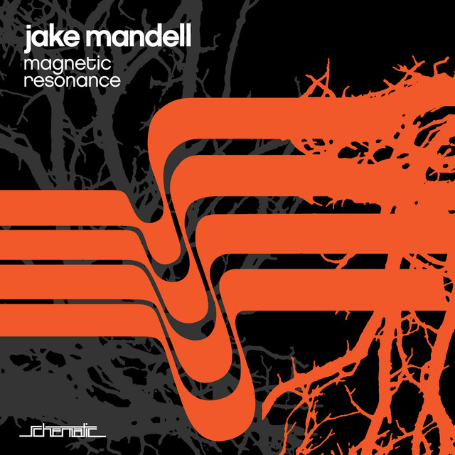 Jake Mandell - Magnetic Resonance cover art