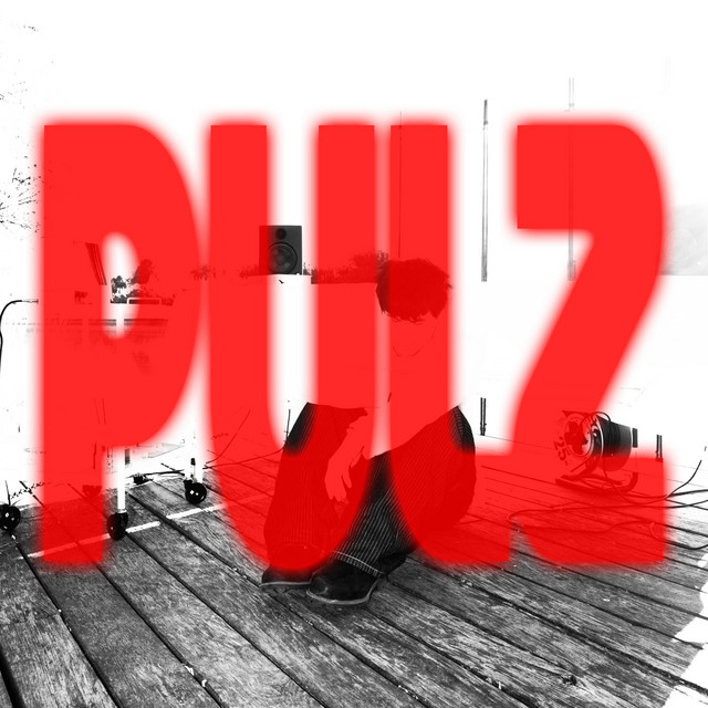 pulz album image