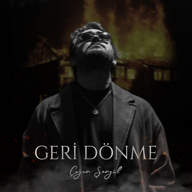 Geri Dönme cover art