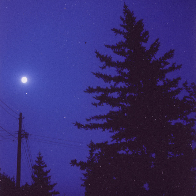 do I matter? cover art
