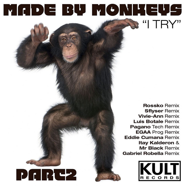 I Try - Luis Botala House Remix Made By monkeys re-edit cover art