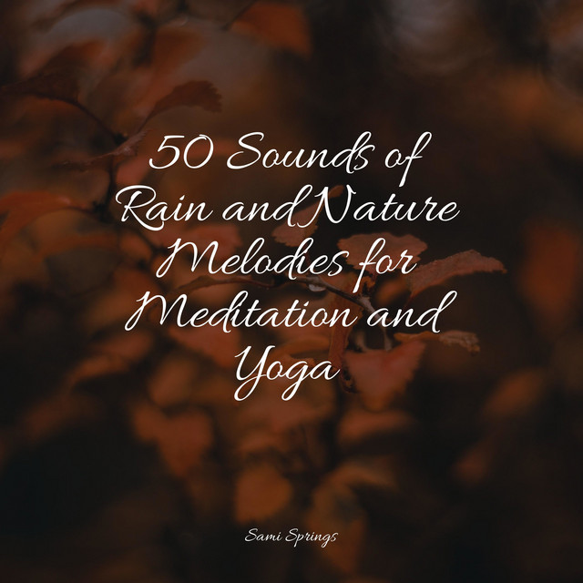 50 Sounds of Rain and Nature Melodies for Meditation and Yoga - Album ...