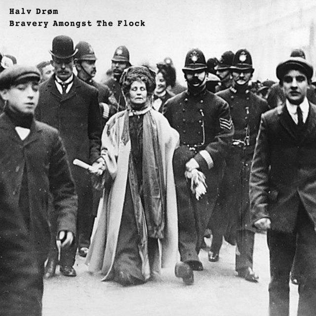 Bravery Amongst The Flock cover art