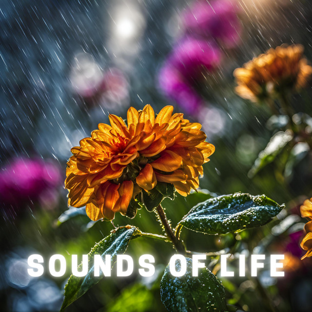 Sounds of Life cover art