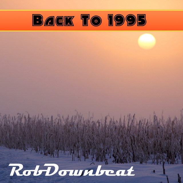Back to 1995 (Instrumental) cover
