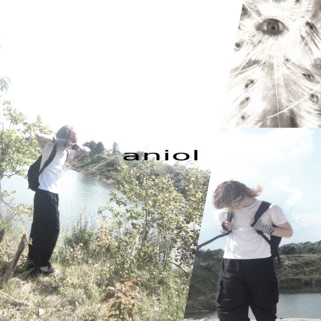 aniol cover art