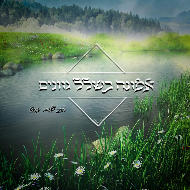 מסלול החיים