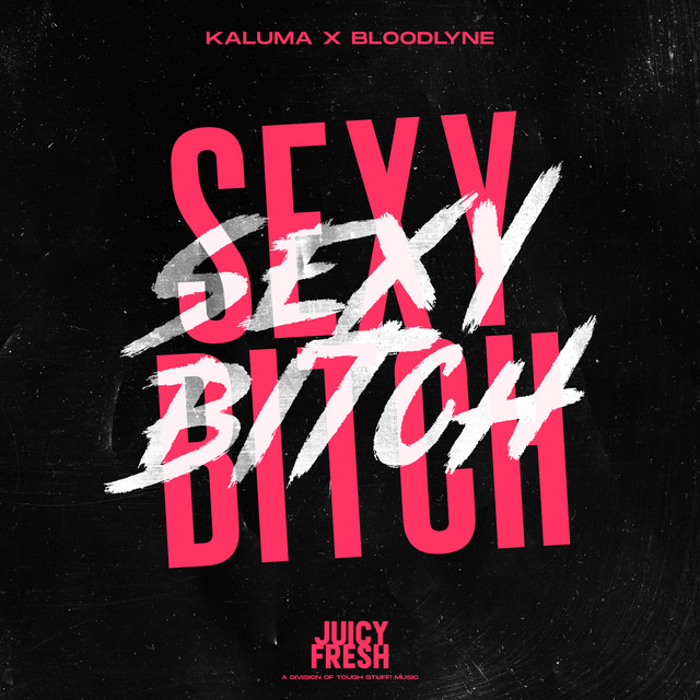 Sexy Bitch album image