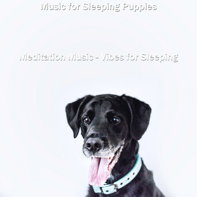 Meditation Music - Vibes for Sleeping cover art