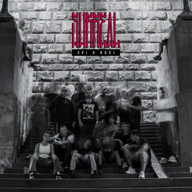Svi u kući cover art