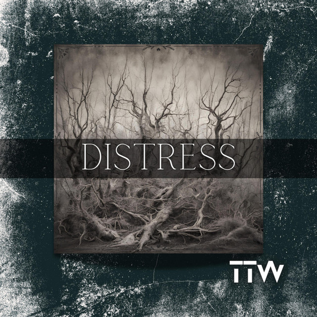 Distress (Instrumental) - Single by Through This War | Spotify