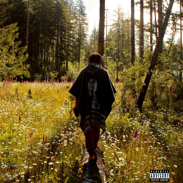 2 WOLVES cover art