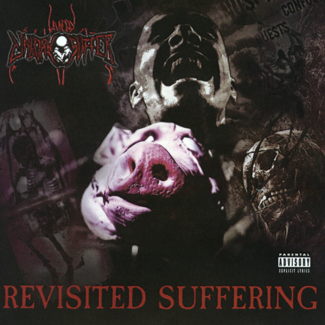 Revisited Suffering cover art