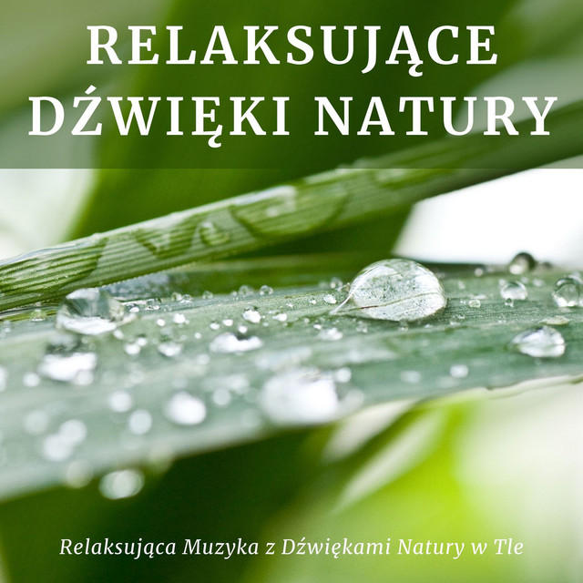 Muzyka Która Przyciąga Pozytywne Myśli