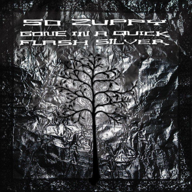 Gone in a Quick Flash Silver cover art