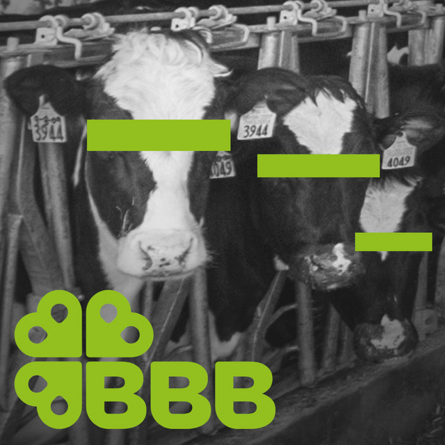 BBB cover art