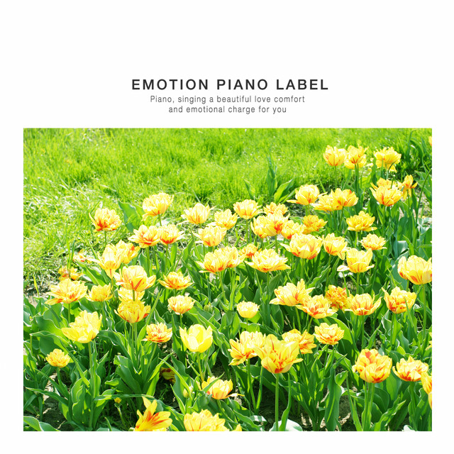 Piano for sleeping health and relaxed mind - Compilation by Various ...
