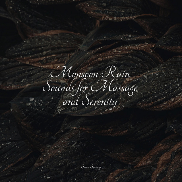 Monsoon Rain Sounds for Massage and Serenity - Album by Natural Rain ...