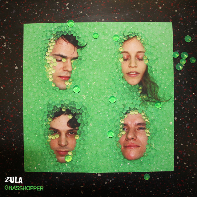 Grasshopper cover art