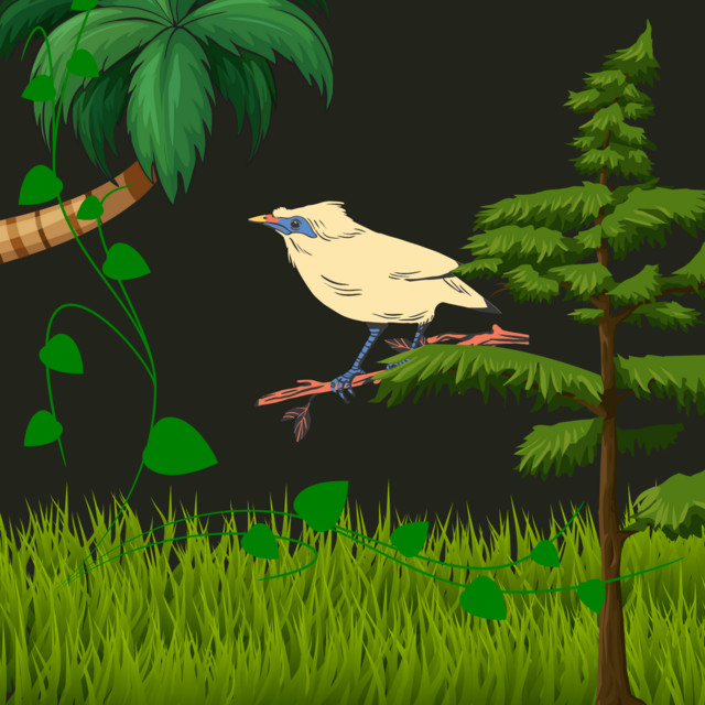 Severinus Journey