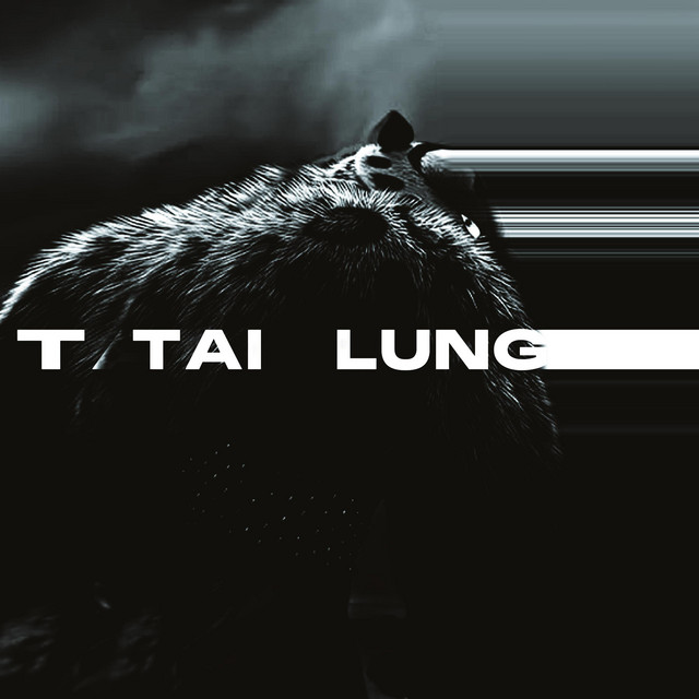 TAI LUNG cover art
