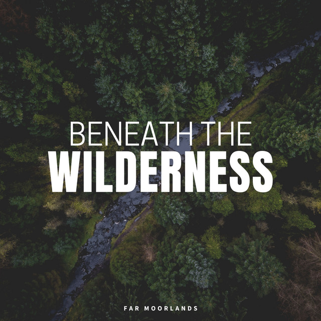 Beneath the Wilderness