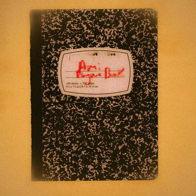 Amis Rhyme Book cover art