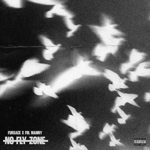 NO FLY ZONE cover art