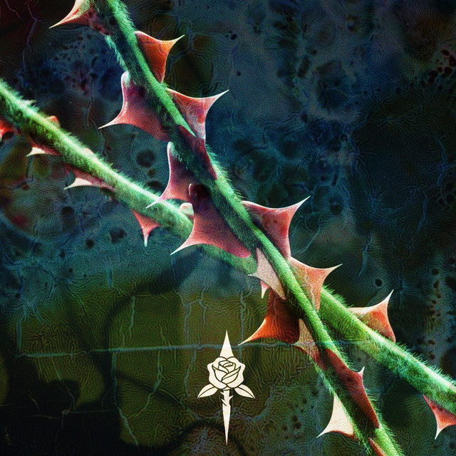 Thorns cover art