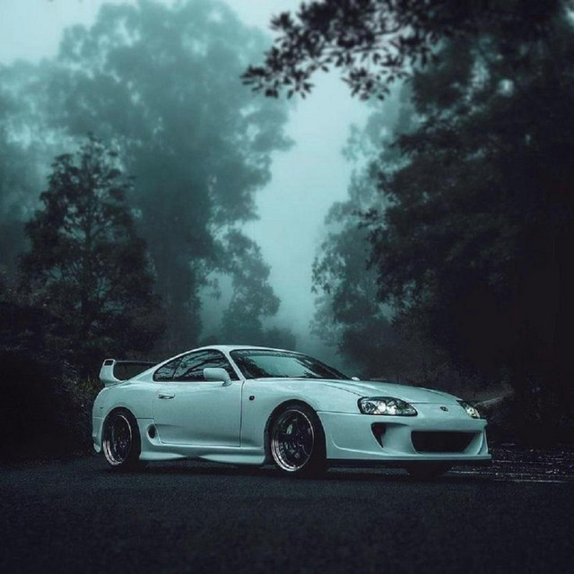SUPRA STUTUTUTU cover art