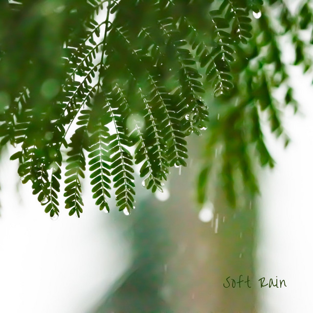 Soft Rain