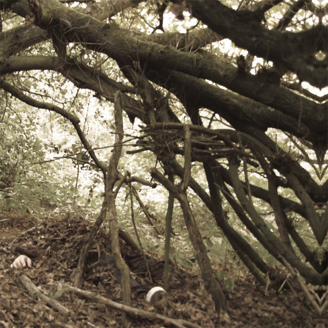 Under Bent Limb Trees cover art
