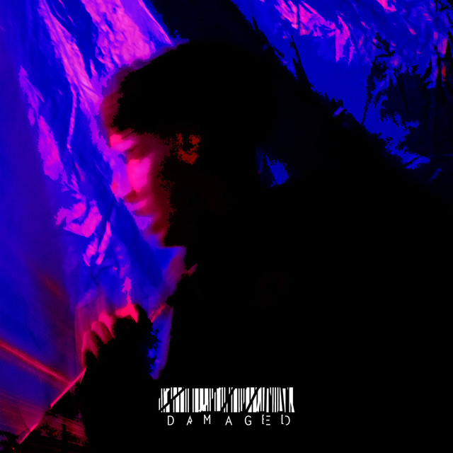 Damaged! cover art