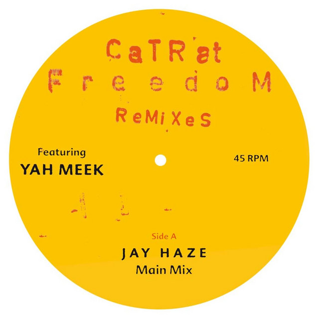 Freedom Remixes cover